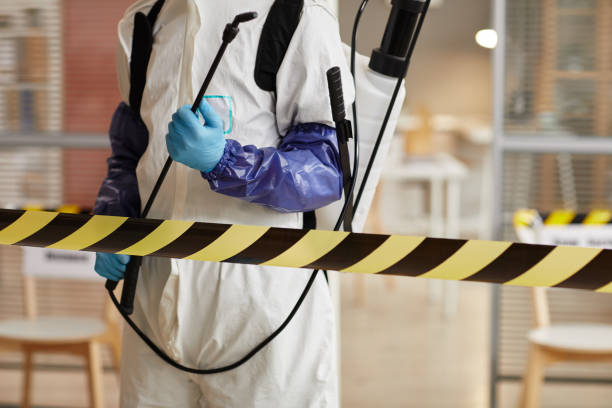 Professional Sewage Cleanup technician working in Houston, MO